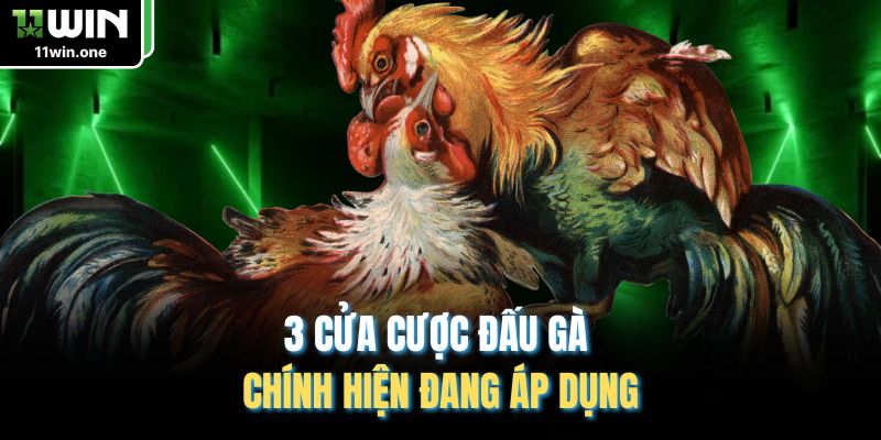 3 cửa cược đấu gà chính hiện đang áp dụng