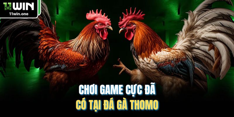 Chơi game cực đã có tại đá gà Thomo