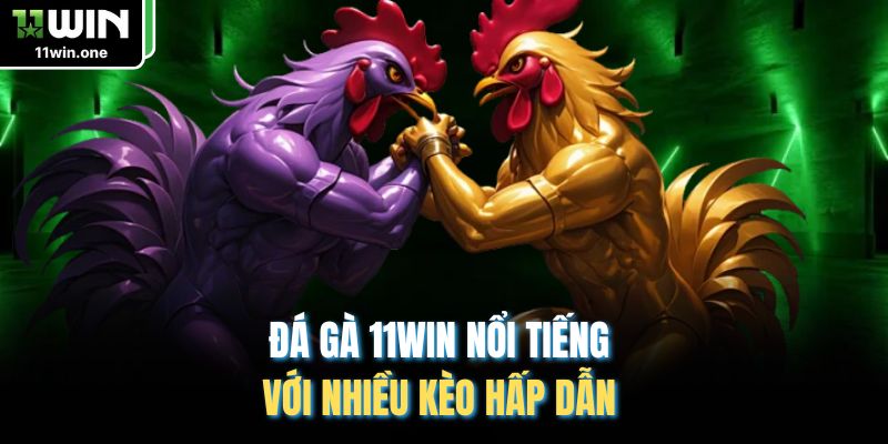 Đá gà 11Win nổi tiếng với nhiều kèo hấp dẫn 