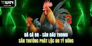 Đá Gà 88 - Đấu Trường Săn Thưởng Phát Lộc 88 Tỷ Đồng