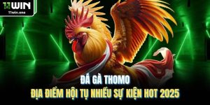 Đá Gà Thomo - Địa Điểm Hội Tụ Nhiều Sự Kiện Hot 2025