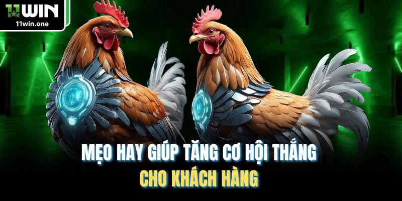 Mẹo hay giúp tăng cơ hội thắng cho khách hàng 