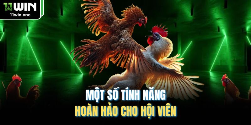 Một số tính năng hoàn hảo cho hội viên