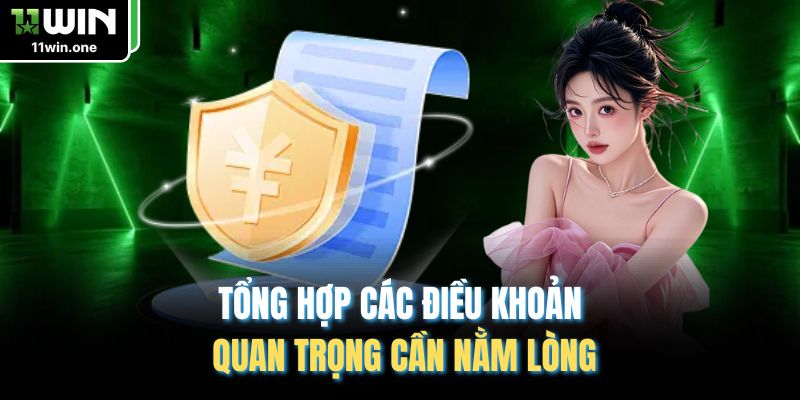 Tổng hợp các điều khoản quan trọng cần nằm lòng